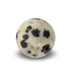 Dalmatian Jasper